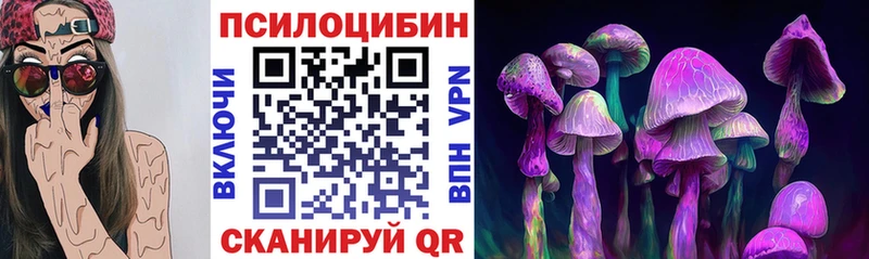 Псилоцибиновые грибы ЛСД  darknet как зайти  Жуковский 