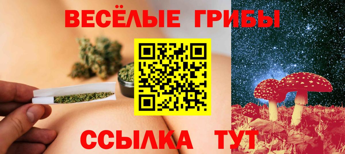 Жуковский  Псилоцибиновые грибы ЛСД  наркота  Вход с VPN 